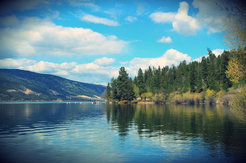 Scenic tranquil lake landscape with trees reflecting on water. Cottage on shoreline in trees. Blue sky and clouds over mountains in spring in Lake Country.