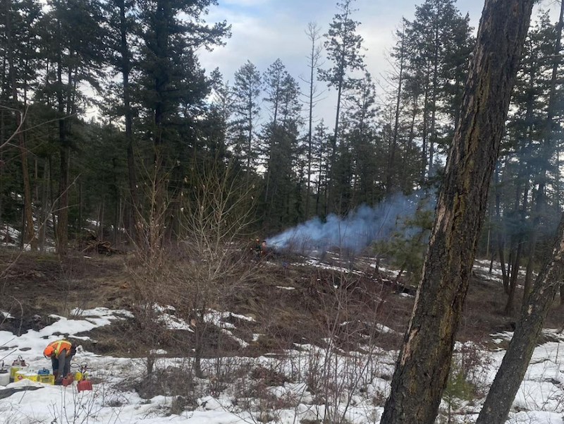 Crews light piles of wood on fire in the forest